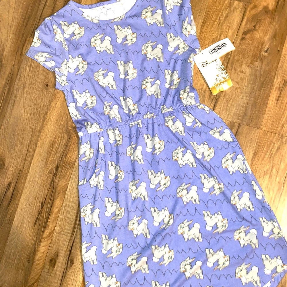 Kids Size 12 Disney “Mae Dress” - with pockets!
